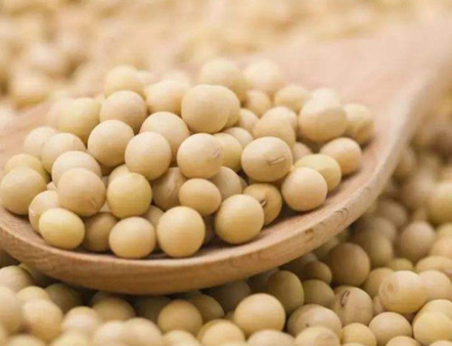 Phytosanitary Requirements for Importing Bolivian Soybeans